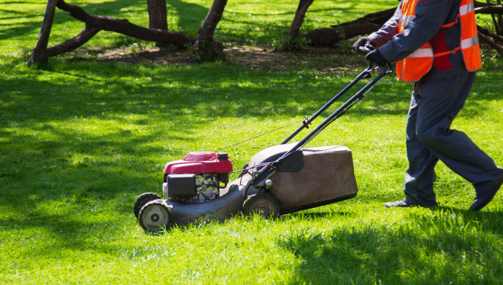 gardening services 03