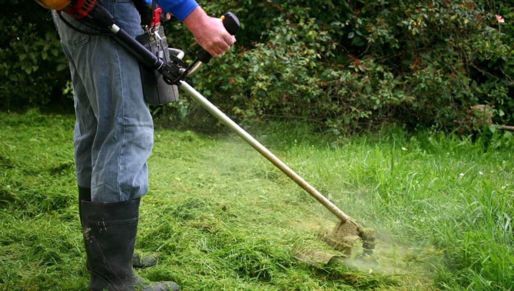 gardening services 04
