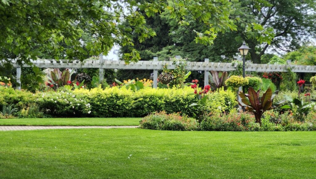 gardening services 06